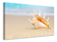 Laden Sie das Bild in den Galerie-Viewer, Leinwandbild Die Muschel am Strand