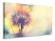 Laden Sie das Bild in den Galerie-Viewer, Leinwandbild Die Pusteblume im Licht