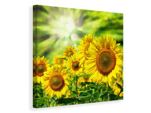 Laden Sie das Bild in den Galerie-Viewer, Leinwandbild Die Sonne und die Blumen