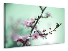 Laden Sie das Bild in den Galerie-Viewer, Leinwandbild Die japanische Kirschblüte