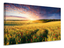 Laden Sie das Bild in den Galerie-Viewer, Leinwandbild Ein Blumenfeld bei Sonnenaufgang