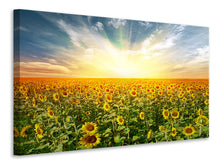 Laden Sie das Bild in den Galerie-Viewer, Leinwandbild Ein Feld voller Sonnenblumen