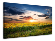 Laden Sie das Bild in den Galerie-Viewer, Leinwandbild Ein Feld von Sonnenblumen