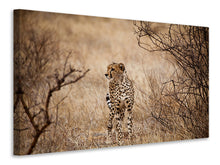 Laden Sie das Bild in den Galerie-Viewer, Leinwandbild Eleganter Gepard