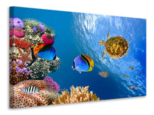 Laden Sie das Bild in den Galerie-Viewer, Leinwandbild Fisch im Wasser