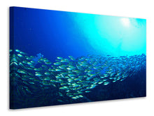 Laden Sie das Bild in den Galerie-Viewer, Leinwandbild Fischschwarm