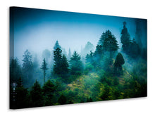 Laden Sie das Bild in den Galerie-Viewer, Leinwandbild Geheimnisvoller Wald
