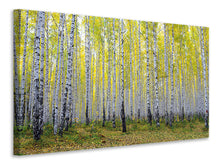 Laden Sie das Bild in den Galerie-Viewer, Leinwandbild Herbstlicher Birkenwald