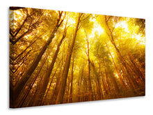 Laden Sie das Bild in den Galerie-Viewer, Leinwandbild Herbstwald