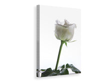 Laden Sie das Bild in den Galerie-Viewer, Leinwandbild Im Namen der Rose