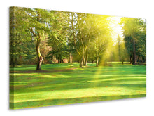 Laden Sie das Bild in den Galerie-Viewer, Leinwandbild Im Park