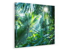 Laden Sie das Bild in den Galerie-Viewer, Leinwandbild Im Tropenwald