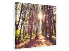 Laden Sie das Bild in den Galerie-Viewer, Leinwandbild Licht am Ende des Waldweges
