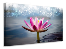 Laden Sie das Bild in den Galerie-Viewer, Leinwandbild Lotus im Morgentau