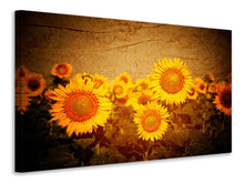Laden Sie das Bild in den Galerie-Viewer, Leinwandbild Retro-Sonnenblumen