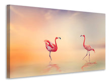 Laden Sie das Bild in den Galerie-Viewer, Leinwandbild Romantische Flamingos