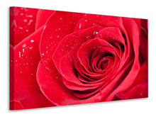 Laden Sie das Bild in den Galerie-Viewer, Leinwandbild Rote Rose im Morgentau