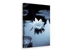 Laden Sie das Bild in den Galerie-Viewer, Leinwandbild Schwarzweissfotografie der Seerose