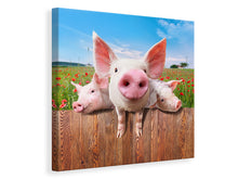 Laden Sie das Bild in den Galerie-Viewer, Leinwandbild Schweinchen im Glück