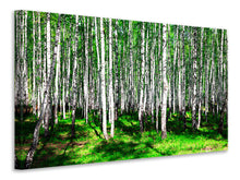 Laden Sie das Bild in den Galerie-Viewer, Leinwandbild Sommerlicher Birkenwald