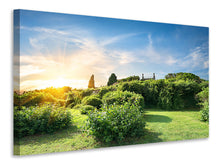 Laden Sie das Bild in den Galerie-Viewer, Leinwandbild Sonnenaufgang im Park