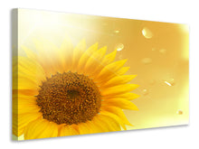 Laden Sie das Bild in den Galerie-Viewer, Leinwandbild Sonnenblume im Morgentau