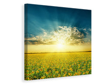 Laden Sie das Bild in den Galerie-Viewer, Leinwandbild Sonnenblumen in der Abendsonne