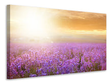Laden Sie das Bild in den Galerie-Viewer, Leinwandbild Sonnenuntergang beim Lavendelfeld