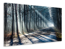 Laden Sie das Bild in den Galerie-Viewer, Leinwandbild Wald im Lichtstrahl