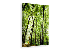 Laden Sie das Bild in den Galerie-Viewer, Leinwandbild Wald