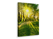 Laden Sie das Bild in den Galerie-Viewer, Leinwandbild Waldweg im Sonnenlicht