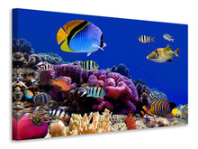 Laden Sie das Bild in den Galerie-Viewer, Leinwandbild Welt der Fische