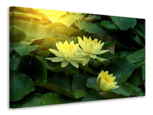 Laden Sie das Bild in den Galerie-Viewer, Leinwandbild Wilde Lotus