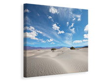 Laden Sie das Bild in den Galerie-Viewer, Leinwandbild Wüstenlandschaft