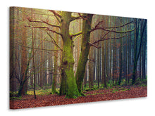 Laden Sie das Bild in den Galerie-Viewer, Leinwandbild Alleine im Wald