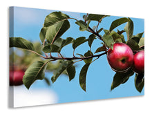 Laden Sie das Bild in den Galerie-Viewer, Leinwandbild Apfel am Baum