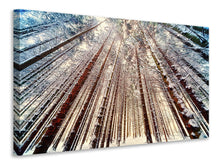 Laden Sie das Bild in den Galerie-Viewer, Leinwandbild Bäume im Schnee