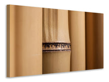 Laden Sie das Bild in den Galerie-Viewer, Leinwandbild Bambus Close up