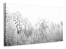 Laden Sie das Bild in den Galerie-Viewer, Leinwandbild Birken im Schnee