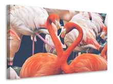 Laden Sie das Bild in den Galerie-Viewer, Leinwandbild Bunte Flamingos