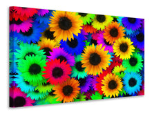 Laden Sie das Bild in den Galerie-Viewer, Leinwandbild Bunte Sonnenblumen