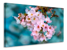 Laden Sie das Bild in den Galerie-Viewer, Leinwandbild Close up Blume