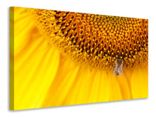 Laden Sie das Bild in den Galerie-Viewer, Leinwandbild Close up Gelbe Knospe