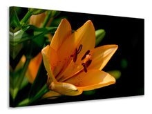 Laden Sie das Bild in den Galerie-Viewer, Leinwandbild Close up Lilie in orange