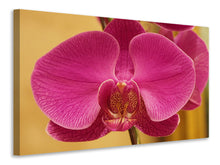 Laden Sie das Bild in den Galerie-Viewer, Leinwandbild Close up Orchidee in pink
