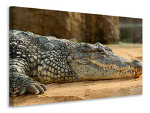 Laden Sie das Bild in den Galerie-Viewer, Leinwandbild Das Nilkrokodil