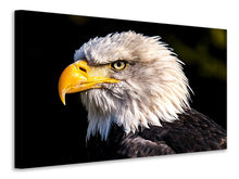 Laden Sie das Bild in den Galerie-Viewer, Leinwandbild Der Adler Kopf
