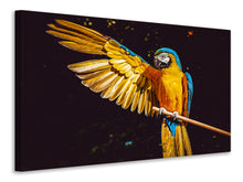 Laden Sie das Bild in den Galerie-Viewer, Leinwandbild Der Ara