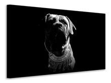 Laden Sie das Bild in den Galerie-Viewer, Leinwandbild Der Boerboel sw