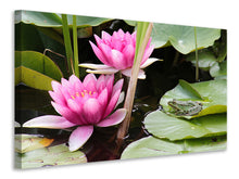 Laden Sie das Bild in den Galerie-Viewer, Leinwandbild Der Frosch im Schutz der Seerosen